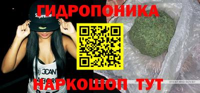 стаф Канаш