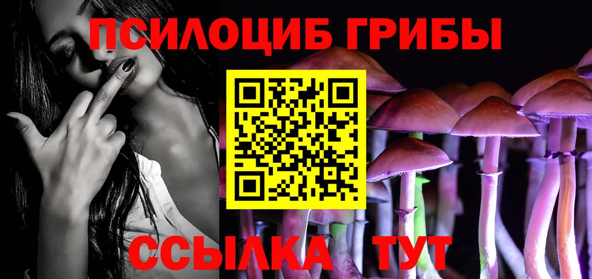 Лангепас  Галлюциногенные грибы Psilocybe  Вход с VPN  купить наркоту  Псилоцибиновые грибы Psilocybine cubensis 